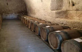 CELLER LA MUNTANYA