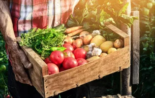 MANDARINAS Y PRODUCTOS DEL ABUELO