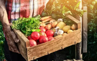 FRUTAS Y VERDURAS MASSANASSA