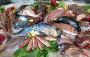 PEIXOS DE PALAMÓS