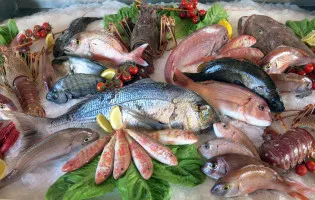 PESCADERÍA MOTRILEÑA