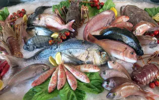 PESCHERIA GASTRONOMIA CORALLO